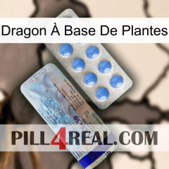 Dragon À Base De Plantes 39